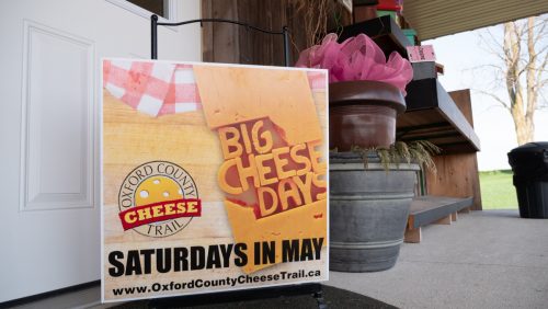 Big Cheese Day Oxford County