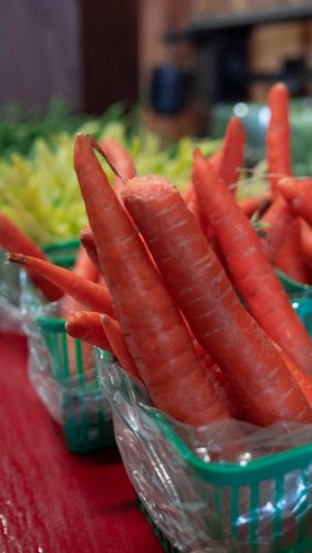 Fresh farm to table produce at Norfolk County